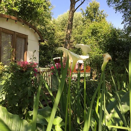 Roulottes Du Rouard Bed & Breakfast กามิเยส์ ภายนอก รูปภาพ