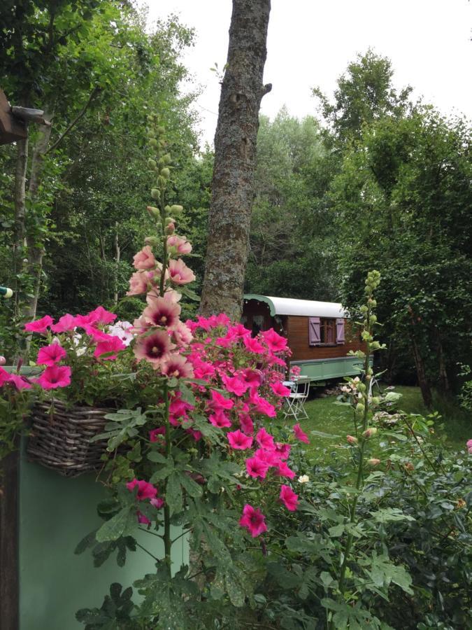 Roulottes Du Rouard Bed & Breakfast กามิเยส์ ภายนอก รูปภาพ