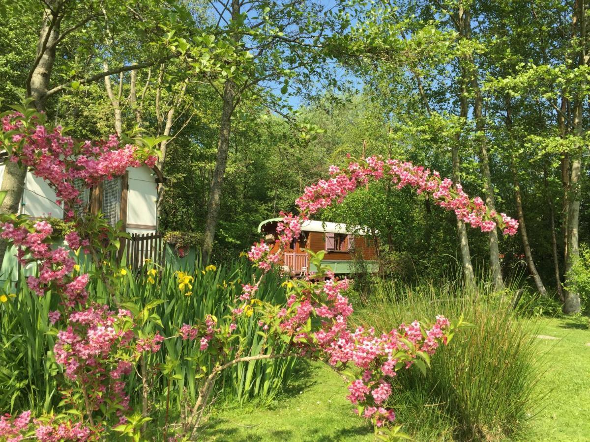 Roulottes Du Rouard Bed & Breakfast กามิเยส์ ภายนอก รูปภาพ