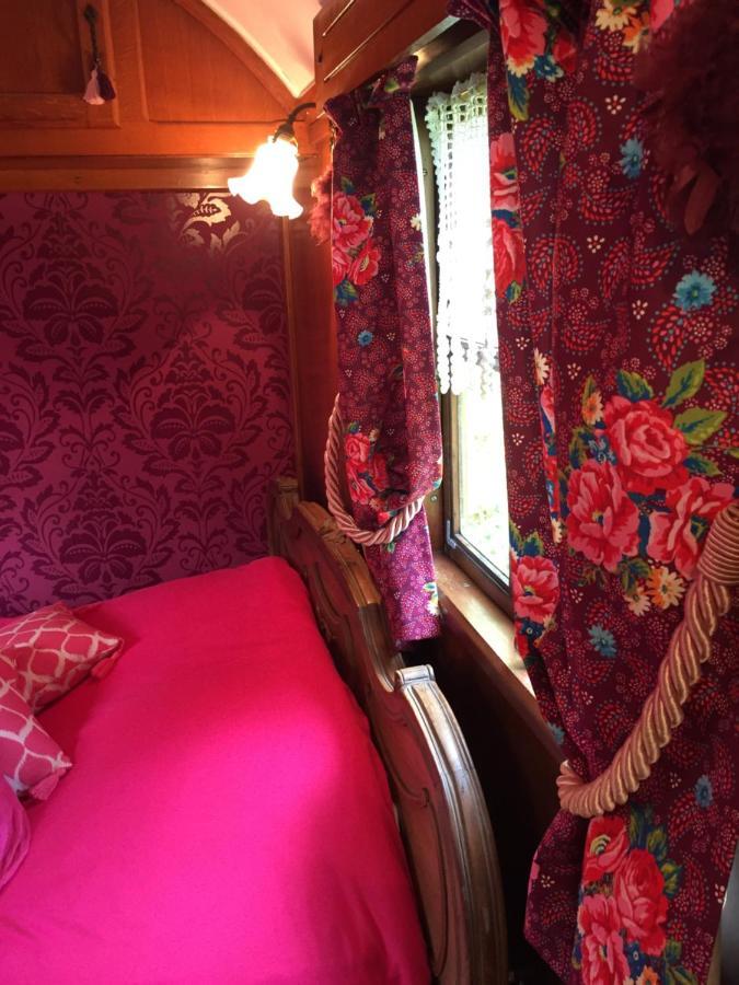 Roulottes Du Rouard Bed & Breakfast กามิเยส์ ภายนอก รูปภาพ